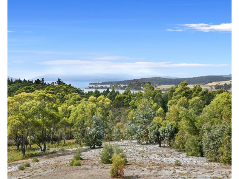 75 Gwandalan Road, Saltwater River TAS 7186