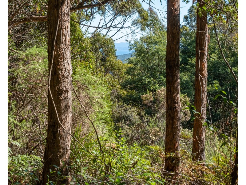 120 Tip Road, Nubeena TAS 7184