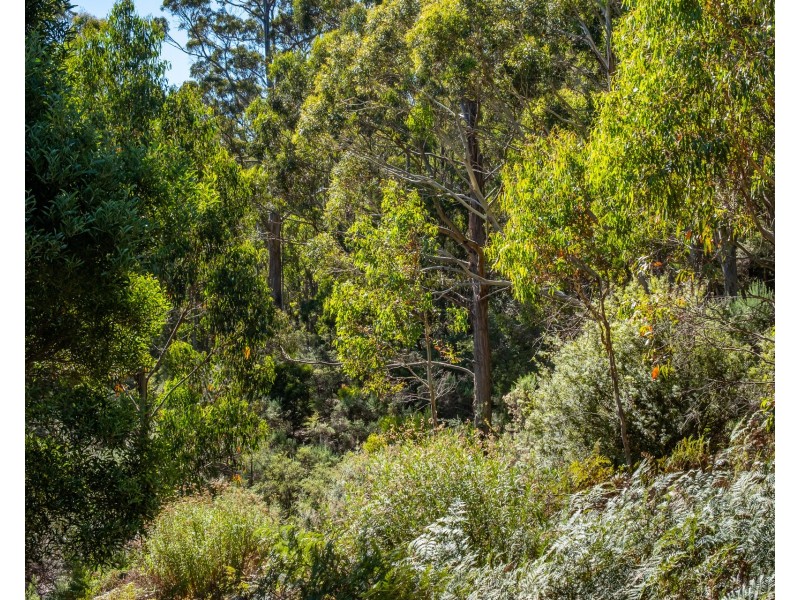 120 Tip Road, Nubeena TAS 7184