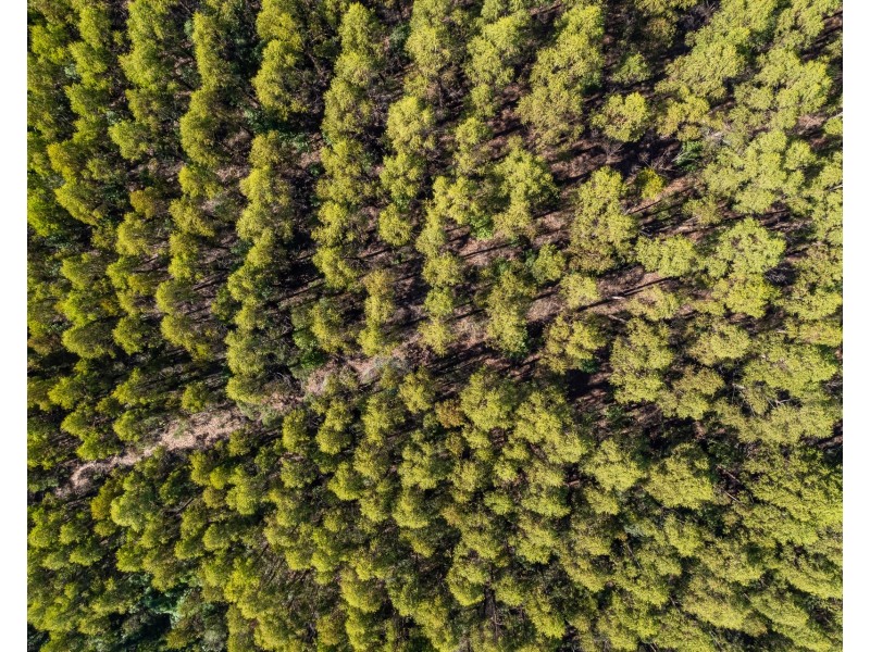 120 Tip Road, Nubeena TAS 7184