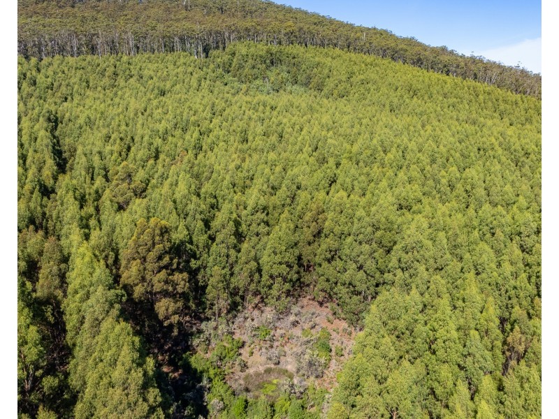 120 Tip Road, Nubeena TAS 7184