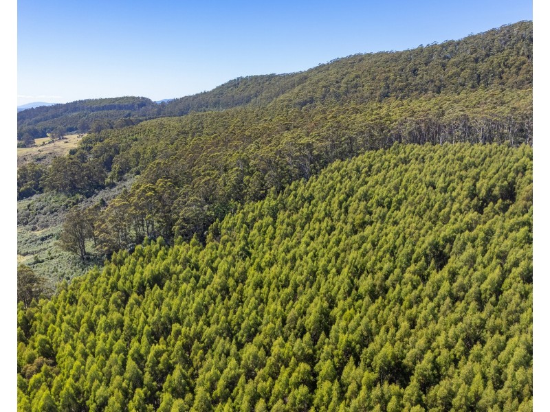 120 Tip Road, Nubeena TAS 7184