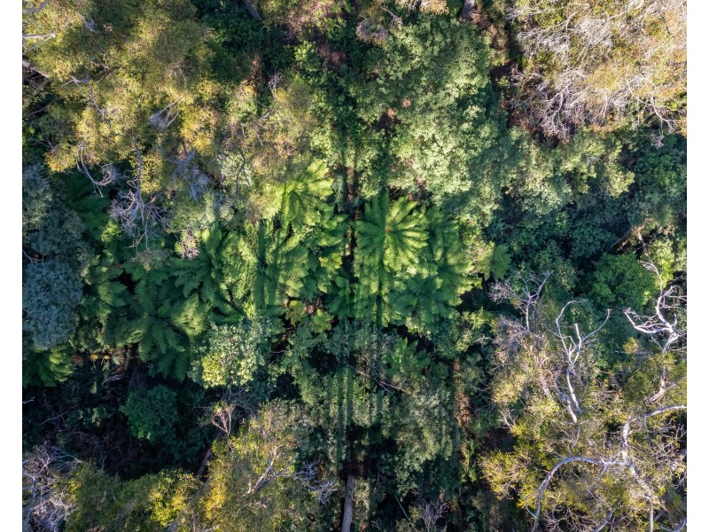 120 Tip Road, Nubeena TAS 7184