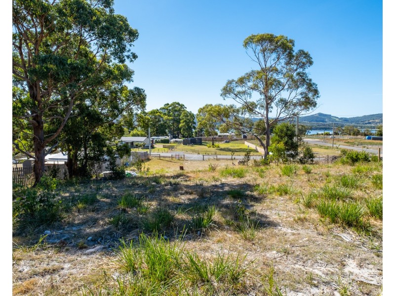 22 Lily Street, White Beach TAS 7184