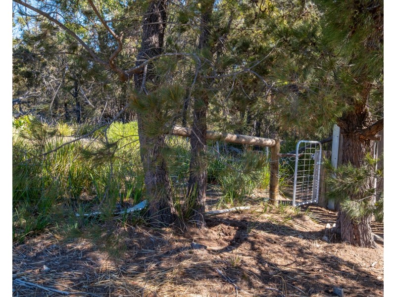 22 Lily Street, White Beach TAS 7184