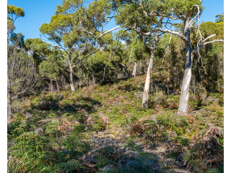 10 King George Court, Murdunna TAS 7178