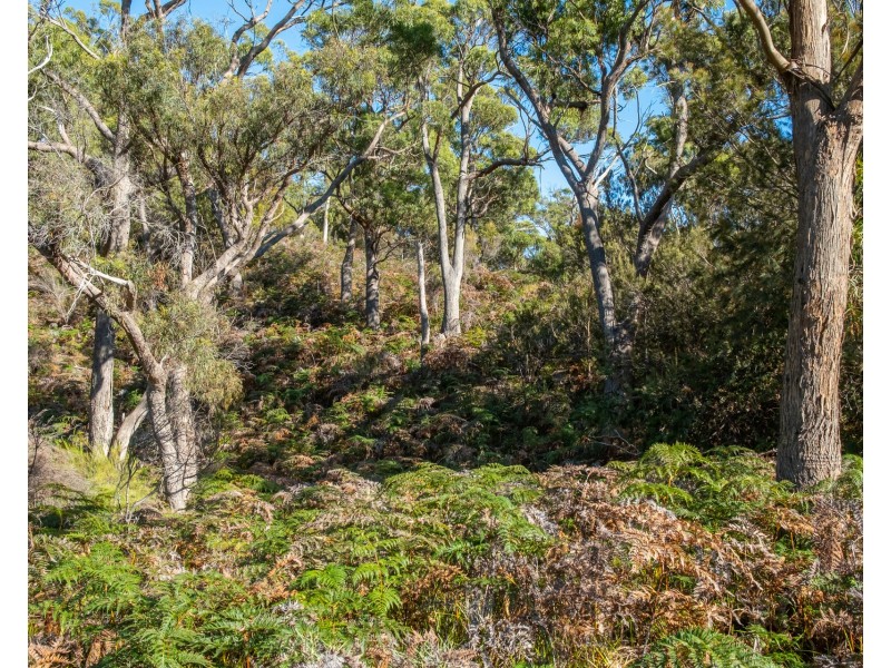 10 King George Court, Murdunna TAS 7178