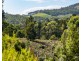 Lot 1 Roaring Beach Road, Nubeena TAS 7184