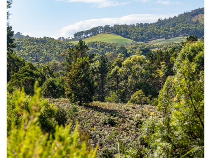 Lot 1 Roaring Beach Road, Nubeena TAS 7184