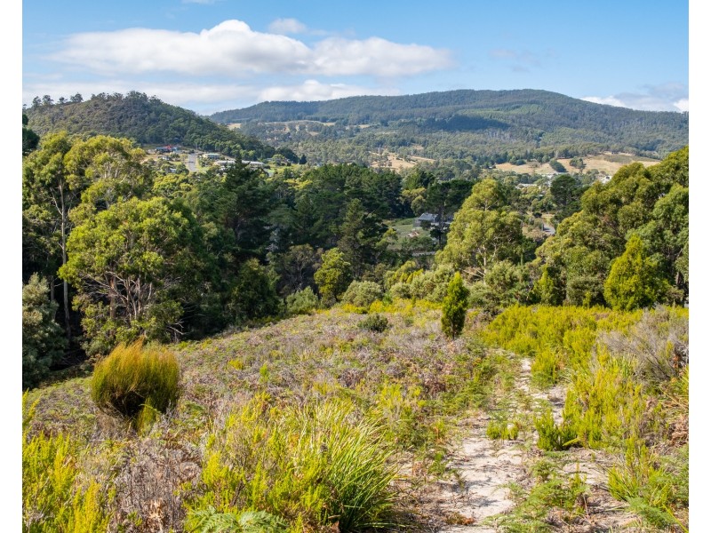Lot 1 Roaring Beach Road, Nubeena TAS 7184