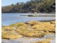 Lot 1 Roaring Beach Road, Nubeena TAS 7184