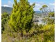 Lot 1 Roaring Beach Road, Nubeena TAS 7184