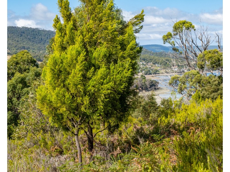 Lot 1 Roaring Beach Road, Nubeena TAS 7184