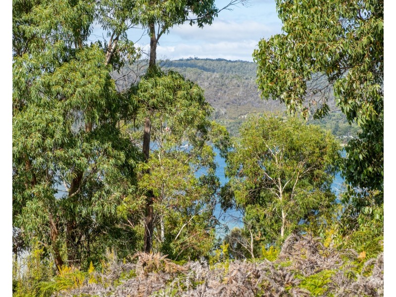 Lot 1 Roaring Beach Road, Nubeena TAS 7184