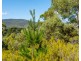 Lot 1 Roaring Beach Road, Nubeena TAS 7184