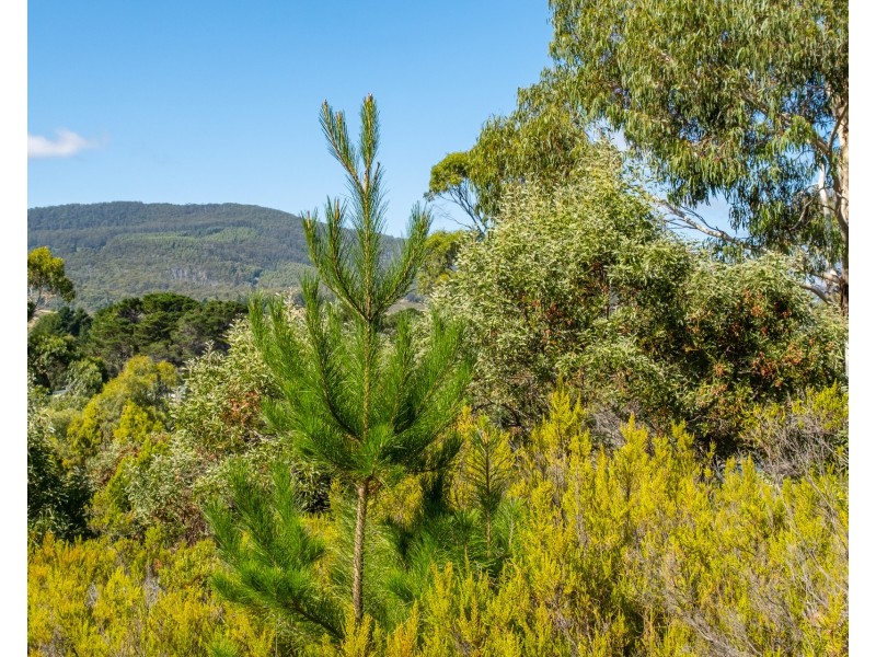 Lot 1 Roaring Beach Road, Nubeena TAS 7184