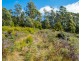 Lot 1 Roaring Beach Road, Nubeena TAS 7184