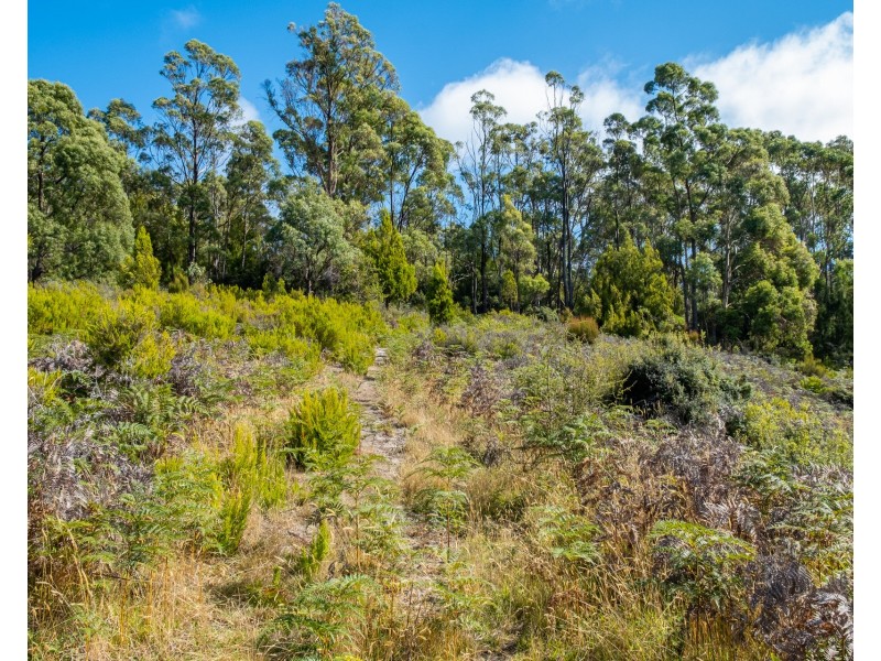 Lot 1 Roaring Beach Road, Nubeena TAS 7184