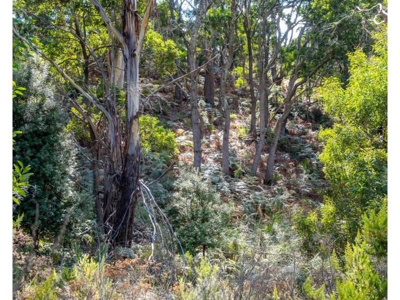 Lot 1 Roaring Beach Road, Nubeena TAS 7184
