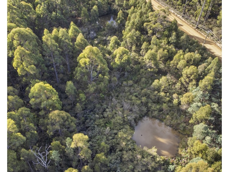 671 Kellevie Road, Kellevie TAS 7176