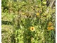671 Kellevie Road, Kellevie TAS 7176