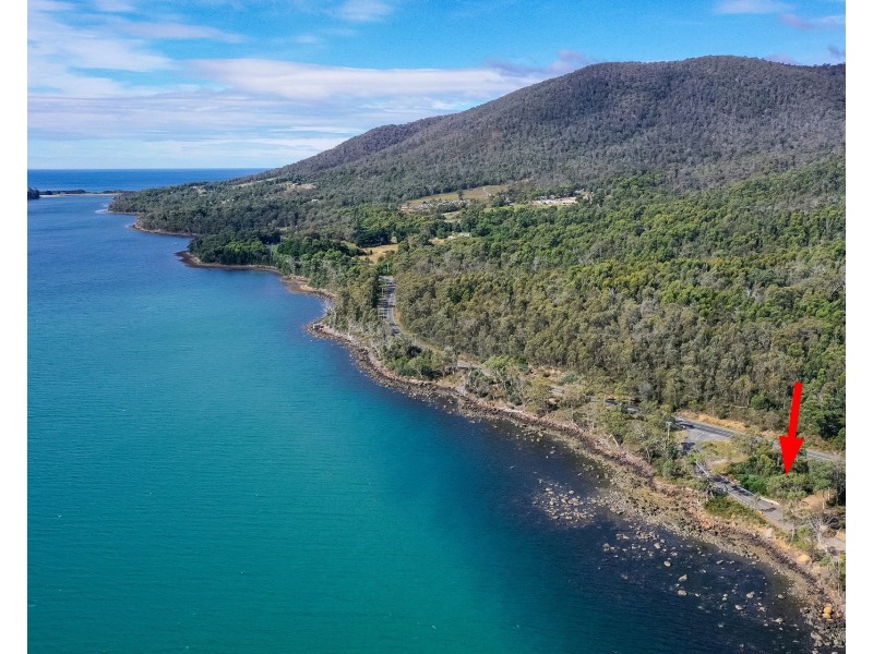 7 Mason Point Road, Eaglehawk Neck TAS 7179