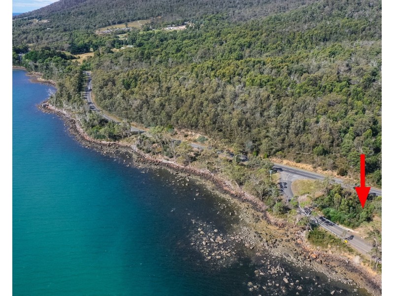 7 Mason Point Road, Eaglehawk Neck TAS 7179