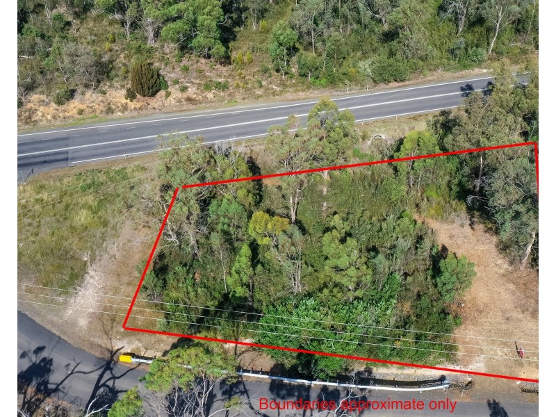 7 Mason Point Road, Eaglehawk Neck TAS 7179