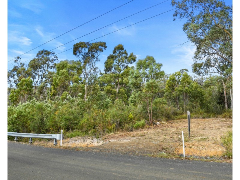 7 Mason Point Road, Eaglehawk Neck TAS 7179
