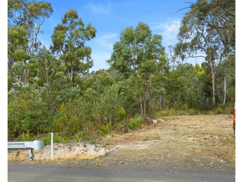 7 Mason Point Road, Eaglehawk Neck TAS 7179