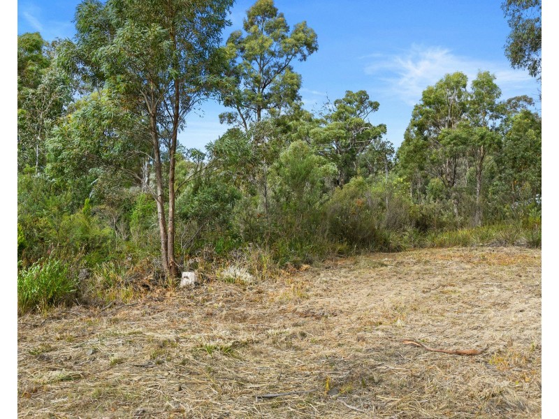 7 Mason Point Road, Eaglehawk Neck TAS 7179