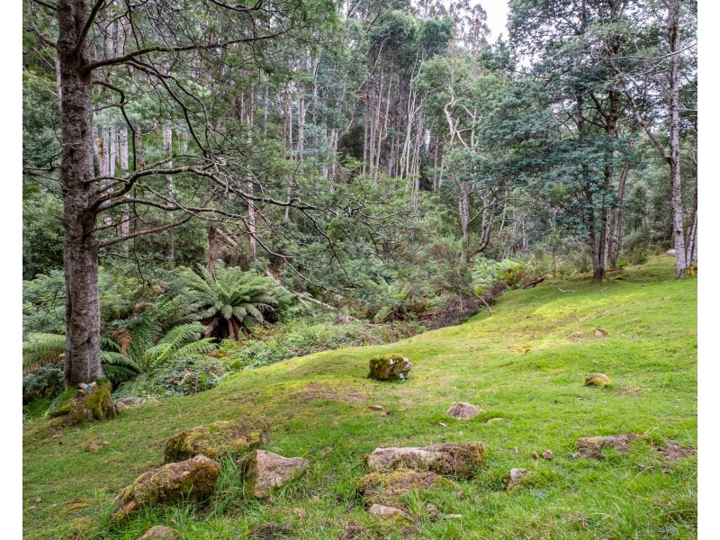 Oyster Cove TAS 7150