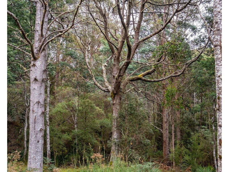 Oyster Cove TAS 7150