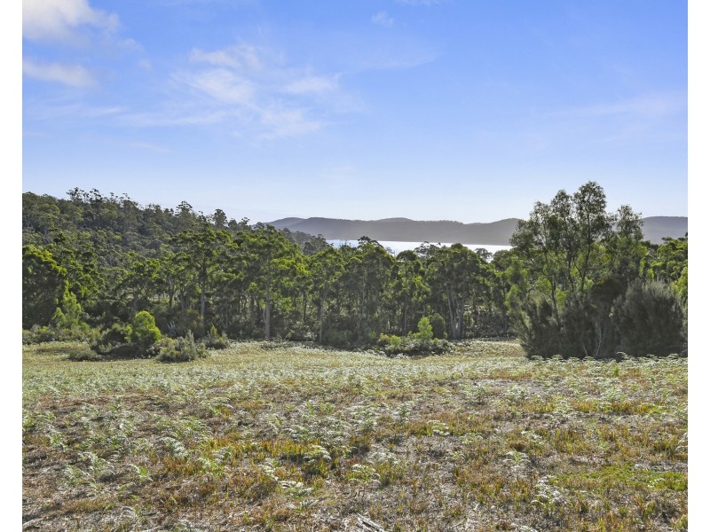 Lot 1 Wades Road, White Beach TAS 7184