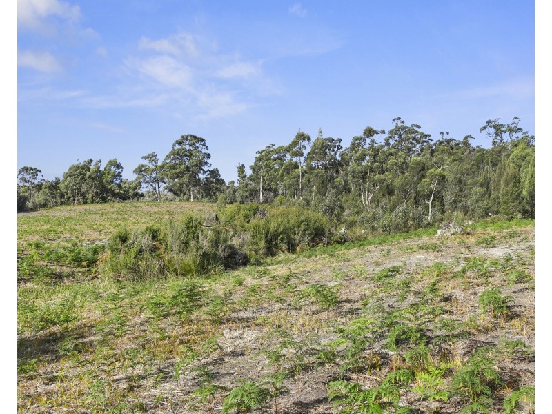 Lot 1 Wades Road, White Beach TAS 7184