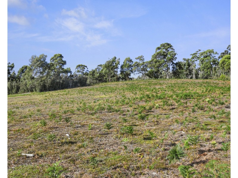 Lot 1 Wades Road, White Beach TAS 7184