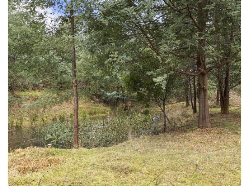 199 Robinsons Road, Highcroft TAS 7183