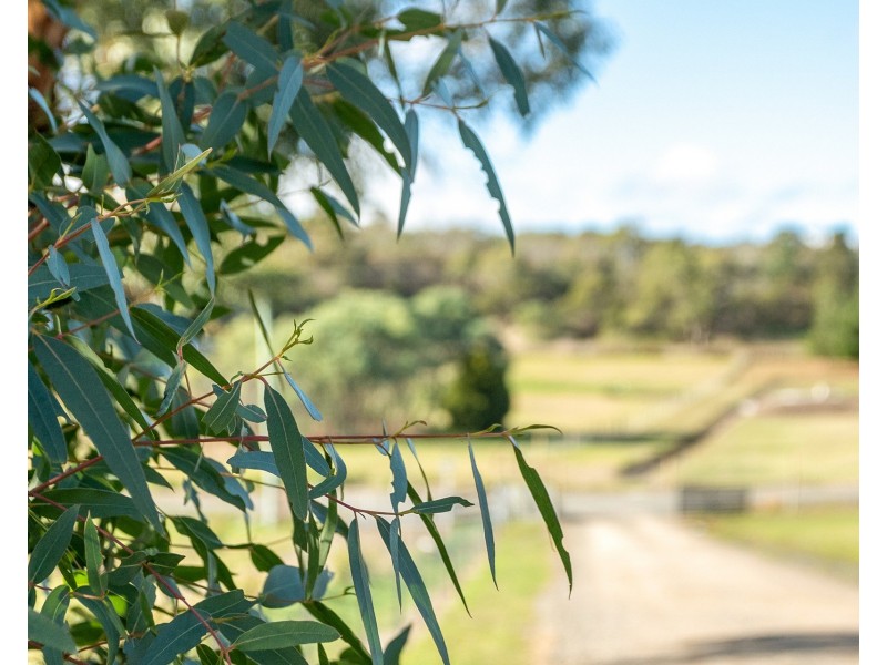 3 Edith Close, Forcett TAS 7173