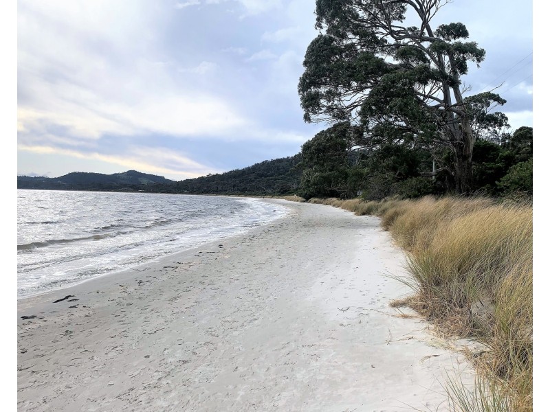 5/309 White Beach Road, White Beach TAS 7184