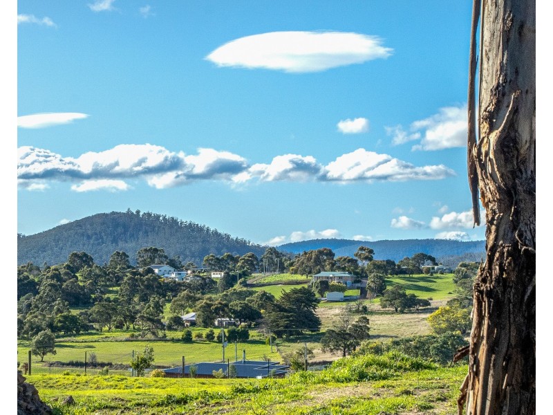 1 Malwood Place, Forcett TAS 7173