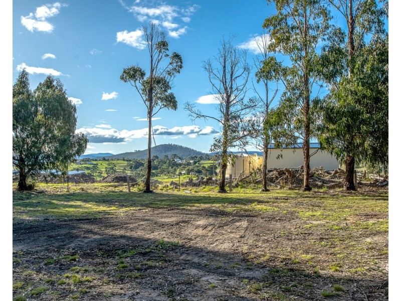 1 Malwood Place, Forcett TAS 7173