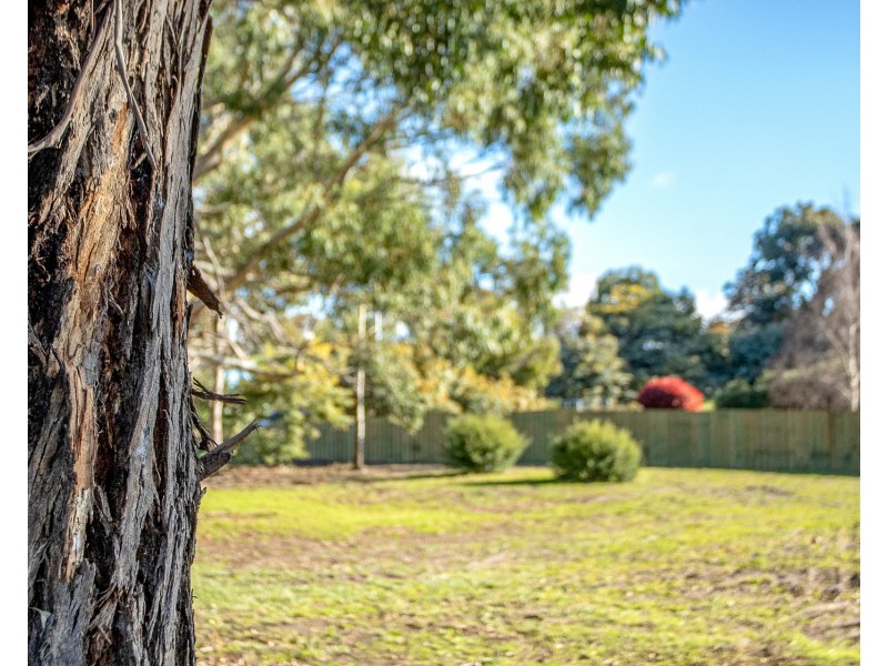 1 Malwood Place, Forcett TAS 7173