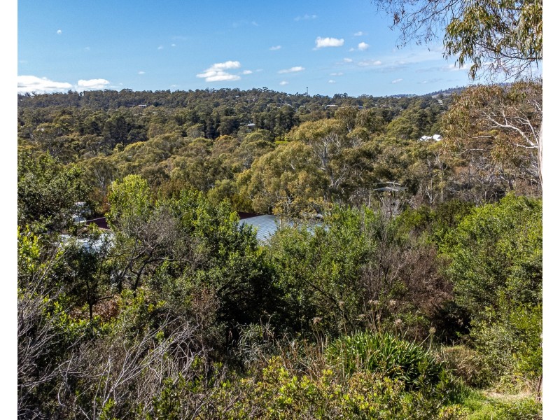 9 Pitt Street, Dodges Ferry TAS 7173