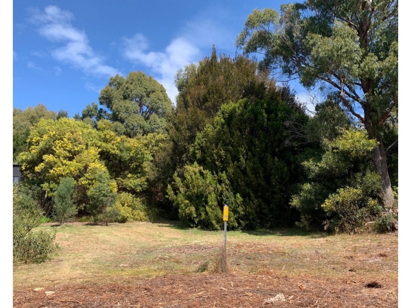 51 Mason Point Road, Eaglehawk Neck TAS 7179