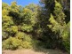 51 Mason Point Road, Eaglehawk Neck TAS 7179
