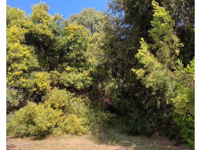 51 Mason Point Road, Eaglehawk Neck TAS 7179