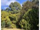 51 Mason Point Road, Eaglehawk Neck TAS 7179