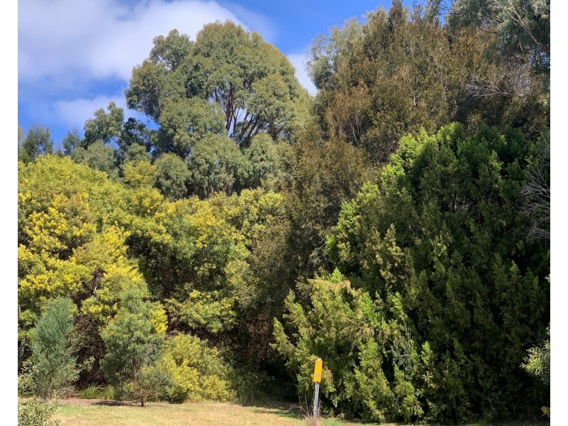 51 Mason Point Road, Eaglehawk Neck TAS 7179