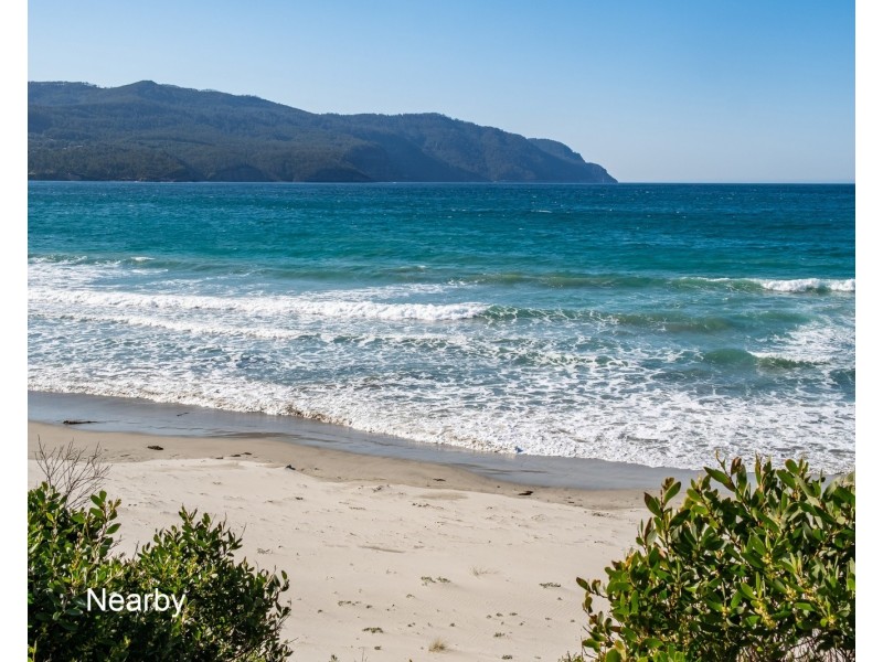 51 Mason Point Road, Eaglehawk Neck TAS 7179