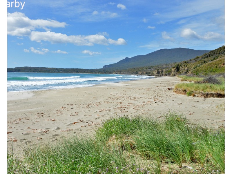 51 Mason Point Road, Eaglehawk Neck TAS 7179
